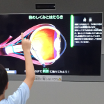 札幌青少年科学館「目カニズム」